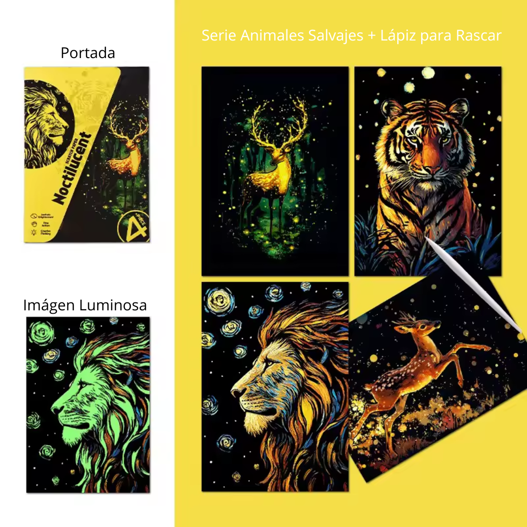 Pack de Arte para Raspar con Diseños Variados y Emocionantes
